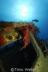 Wreck of the "Excalibur", Hurghada, Red Sea, October 2007 by Timo Weber 